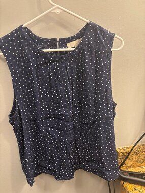 Ann Taylor Loft Blouse